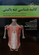 کالبدشناسی تنه بالینی